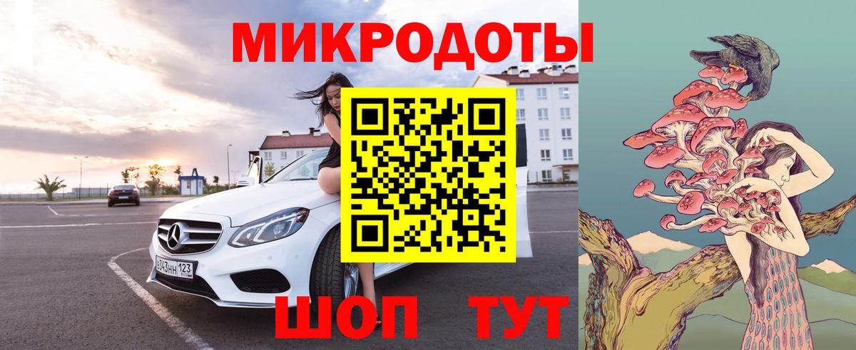 Псилоцибиновые грибы Psilocybe  купить  цена  Саранск  Вход с VPN 