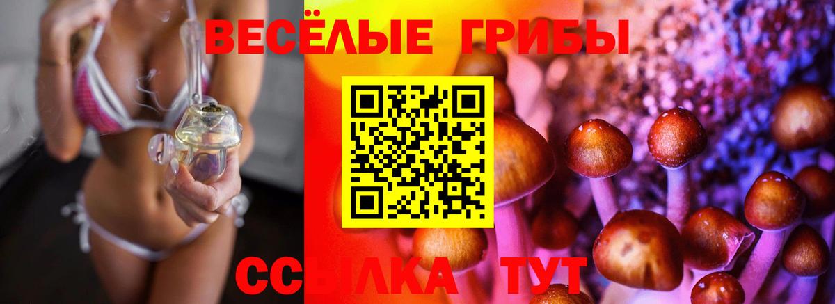 Галлюциногенные грибы Magic Shrooms Саранск